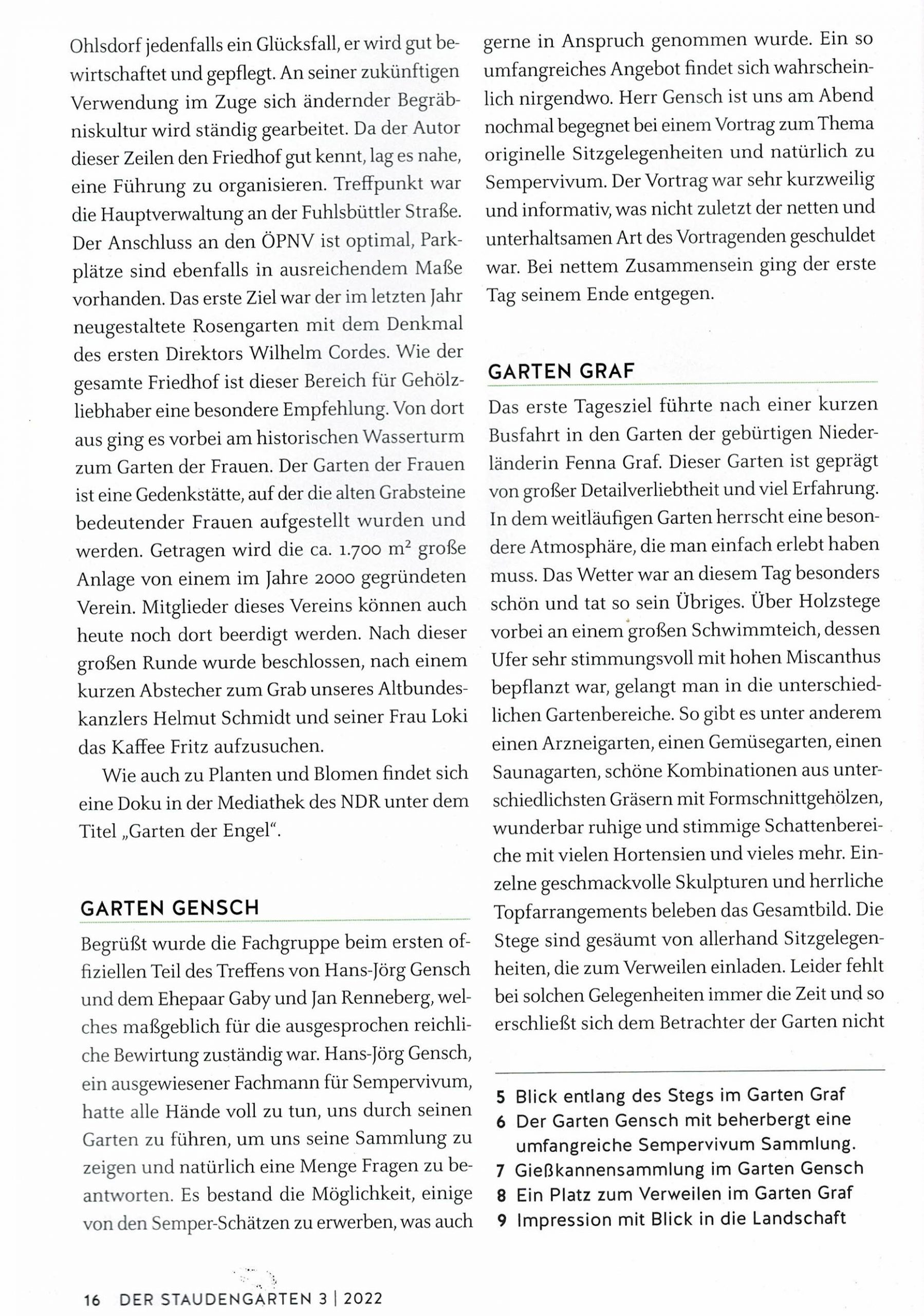 Zeitungsauszug